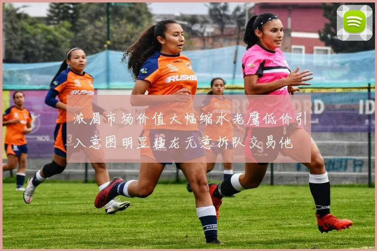 浓眉市场价值大幅缩水老鹰低价引入意图明显猛龙无意拆队交易他